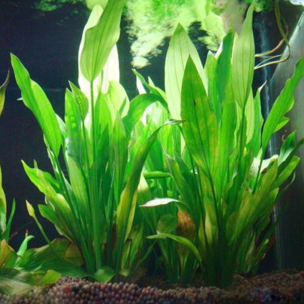 1PCS Artificial Plastic Water Plant Grass Aquarium Decorations Plants Fish Tank Grass Flower Ornament Decor Aquatic Accessories