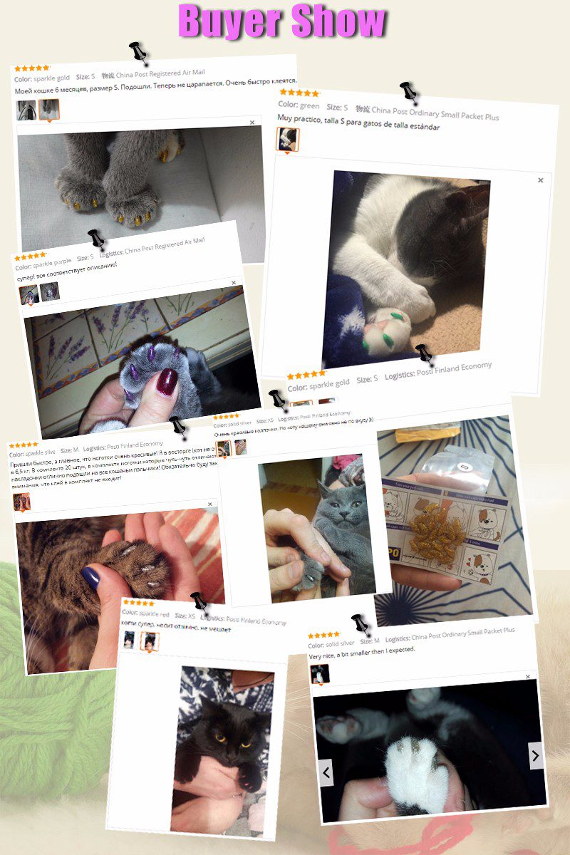 New FASHION colorful Cat Nail Caps soft cat Claw Soft Paws 20 PCS/lot with free Adhesive Glue Size XS S M LGift for pet New FASHION colorful Cat Nail Caps soft cat Claw Soft Paws 20 PCS/lot with free Adhesive Glue Size XS S M LGift for pet