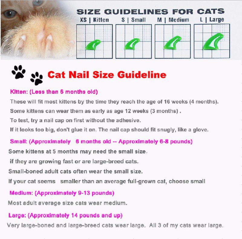 New FASHION colorful Cat Nail Caps soft cat Claw Soft Paws 20 PCS/lot with free Adhesive Glue Size XS S M LGift for pet New FASHION colorful Cat Nail Caps soft cat Claw Soft Paws 20 PCS/lot with free Adhesive Glue Size XS S M LGift for pet