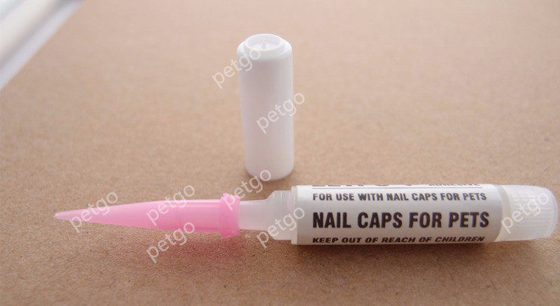 New FASHION colorful Cat Nail Caps soft cat Claw Soft Paws 20 PCS/lot with free Adhesive Glue Size XS S M LGift for pet