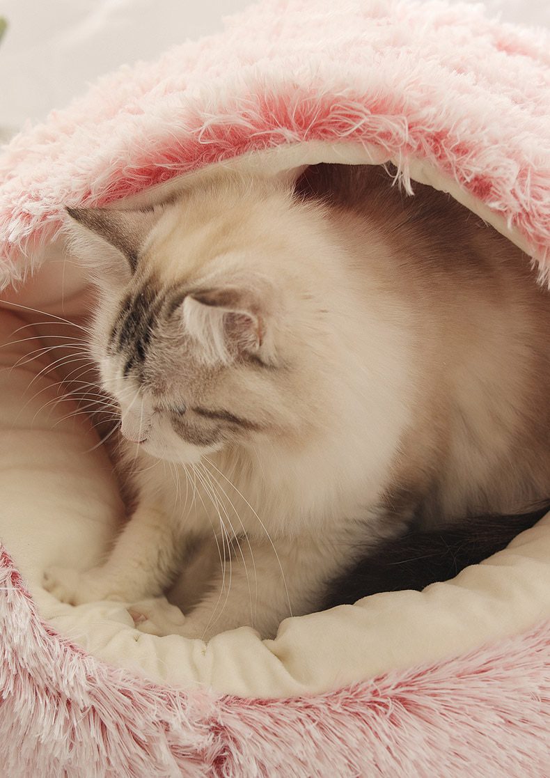 HOOPET New Style Pet Dog Cat Bed Round Plush Cat Warm Bed House Soft Long Plush Bed For Small Dogs For Cats Nest 2 In 1 Cat Bed HOOPET New Style Pet Dog Cat Bed Round Plush Cat Warm Bed House Soft Long Plush Bed For Small Dogs For Cats Nest 2 In 1 Cat Bed