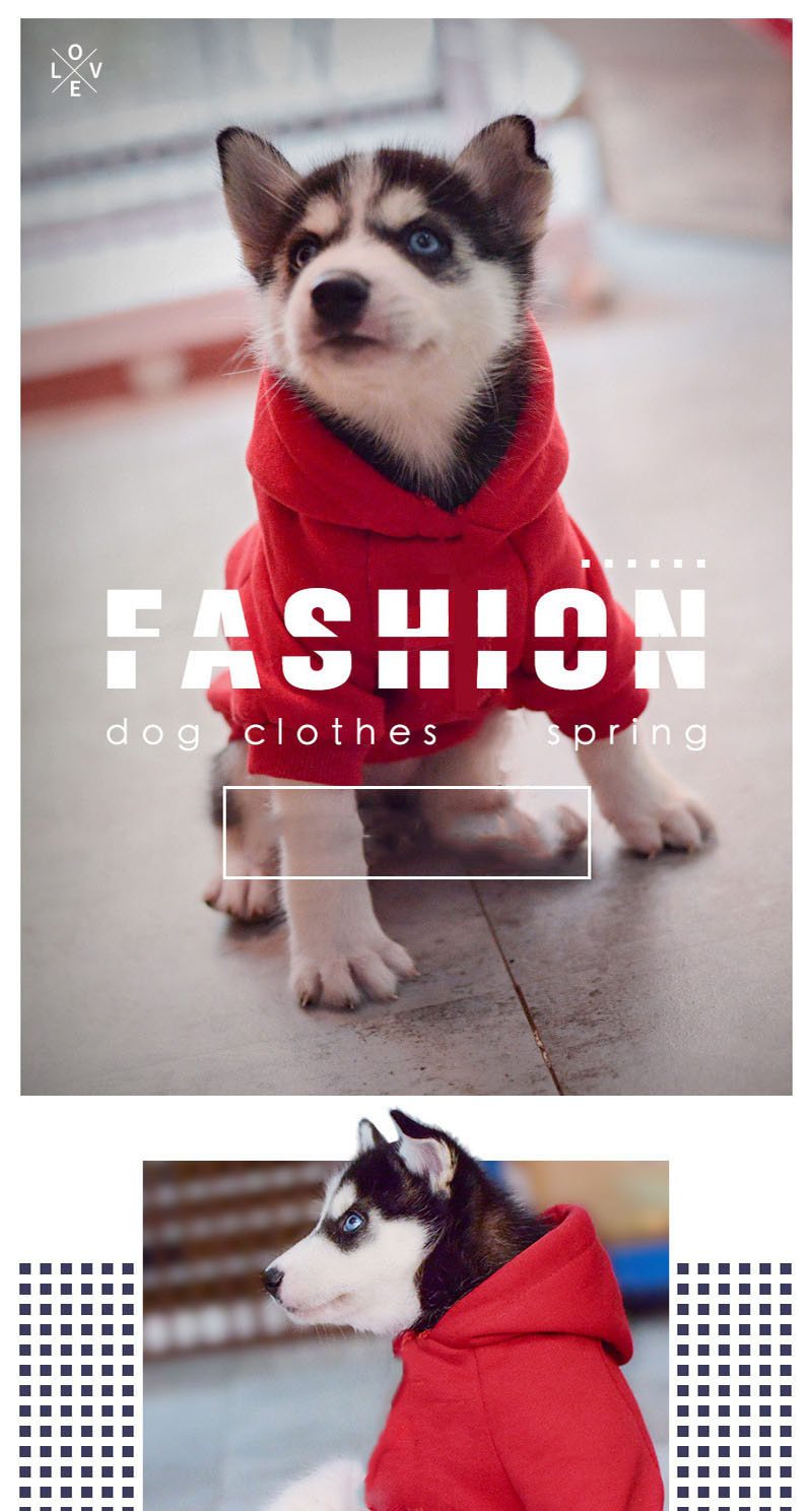 Winter Warm Dog Clothes Cotton Hoodies Clothes for Dogs Pet clothing for Small medium dogs Costumes Coat For Cat French Bulldog