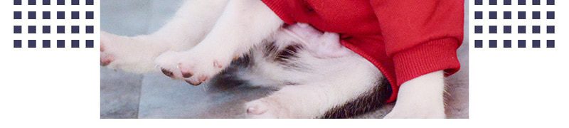 Winter Warm Dog Clothes Cotton Hoodies Clothes for Dogs Pet clothing for Small medium dogs Costumes Coat For Cat French Bulldog