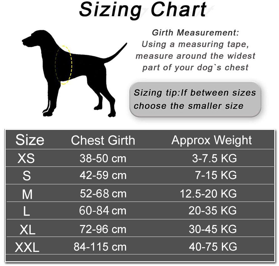 Personalized Dog Harness Reflective Adjustable Dog Harness Vest For small large Dog With Customized Patch Dogs Training Supplies