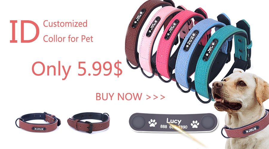 Personalized Dog Harness Reflective Adjustable Dog Harness Vest For small large Dog With Customized Patch Dogs Training Supplies