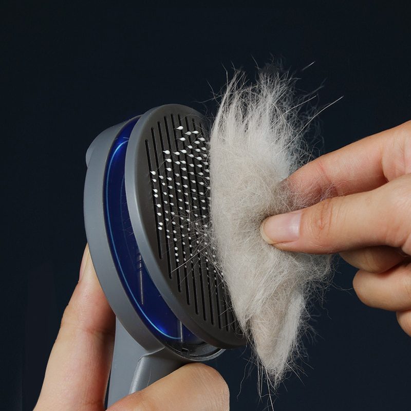 Kimpets Cat Comb Dog Comb Cat Hair Comb Pet Dog Hair Special Needle Comb Cat Hair Cleaner Cleaning and Beauty Products Kimpets Cat Comb Dog Comb Cat Hair Comb Pet Dog Hair Special Needle Comb Cat Hair Cleaner Cleaning and Beauty Products