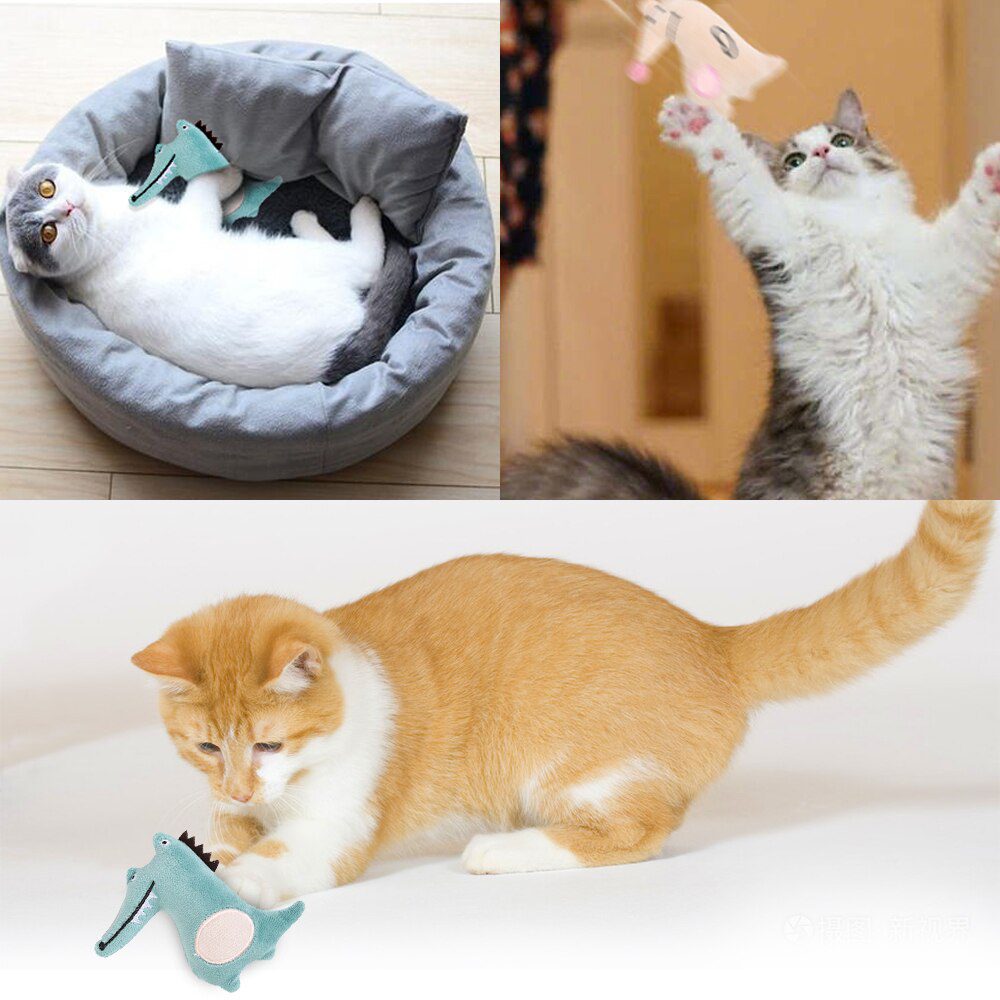 Cat Toy Catnip Interactive Plush Stuffed Chew Pet Toys Claw Funny Cat Mint Soft Teeth Cleaning Toy For Cat Kitten Pet Products