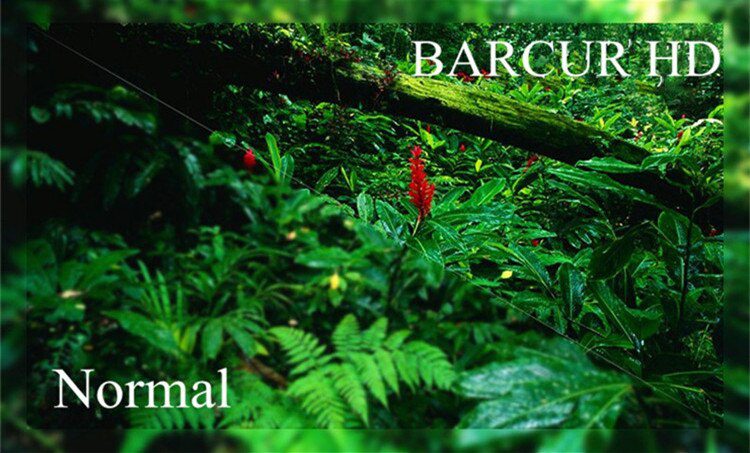 BARCUR Men Sunglasses Polarized UV400 Protection Driving Sun Glasses Women Male Oculos De Sol