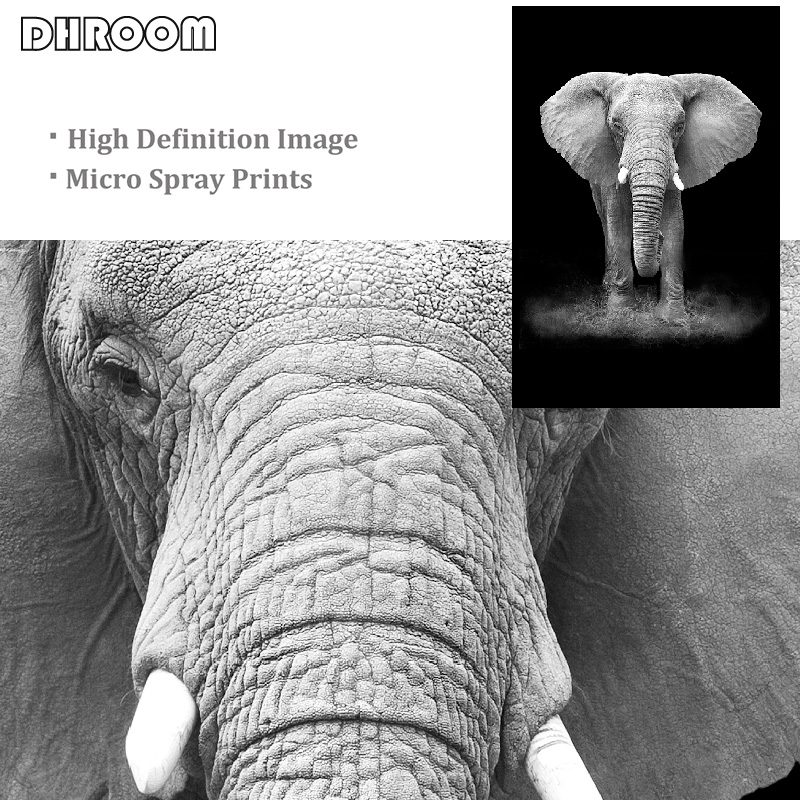 Canvas Painting Animal Wall Art Lion Elephant Deer Zebra Posters and Prints Wall Pictures for Living Room Decoration Home Decor Canvas Painting Animal Wall Art Lion Elephant Deer Zebra Posters and Prints Wall Pictures for Living Room Decoration Home Decor