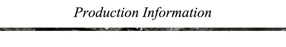 Gold Cutlery Set Forks Knives Spoons 18/10 Stainless Steel Dinner Dinnerware Set Fork Spoon Knife Chopsticks Set Dropshipping