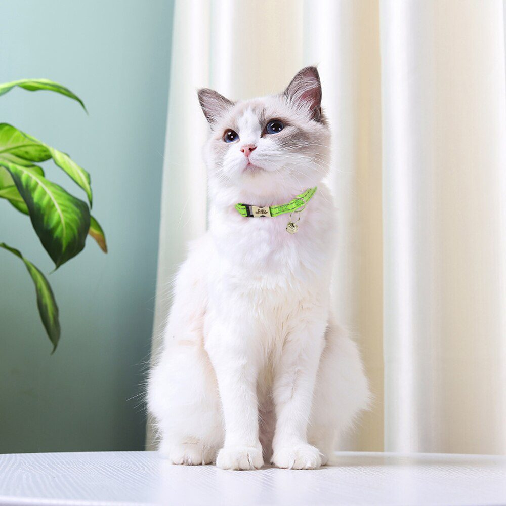 Gegraveerde Maat Kat Kraag Reflecterende Kitten Puppy Halsbanden Met Bell Gepersonaliseerde Huisdier Katten Kraag Ketting Accessoires 1Cm Breedte