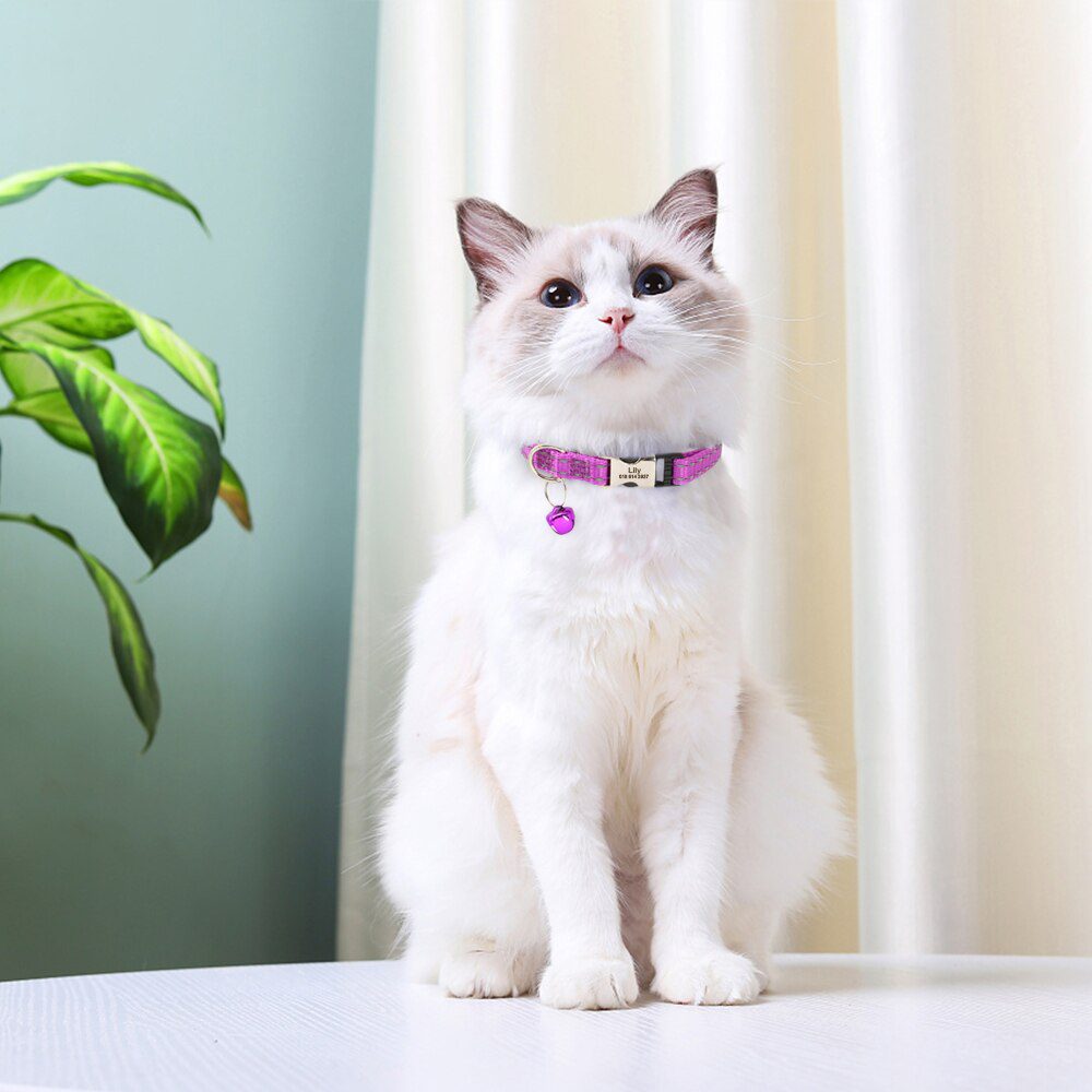 Gegraveerde Maat Kat Kraag Reflecterende Kitten Puppy Halsbanden Met Bell Gepersonaliseerde Huisdier Katten Kraag Ketting Accessoires 1Cm Breedte