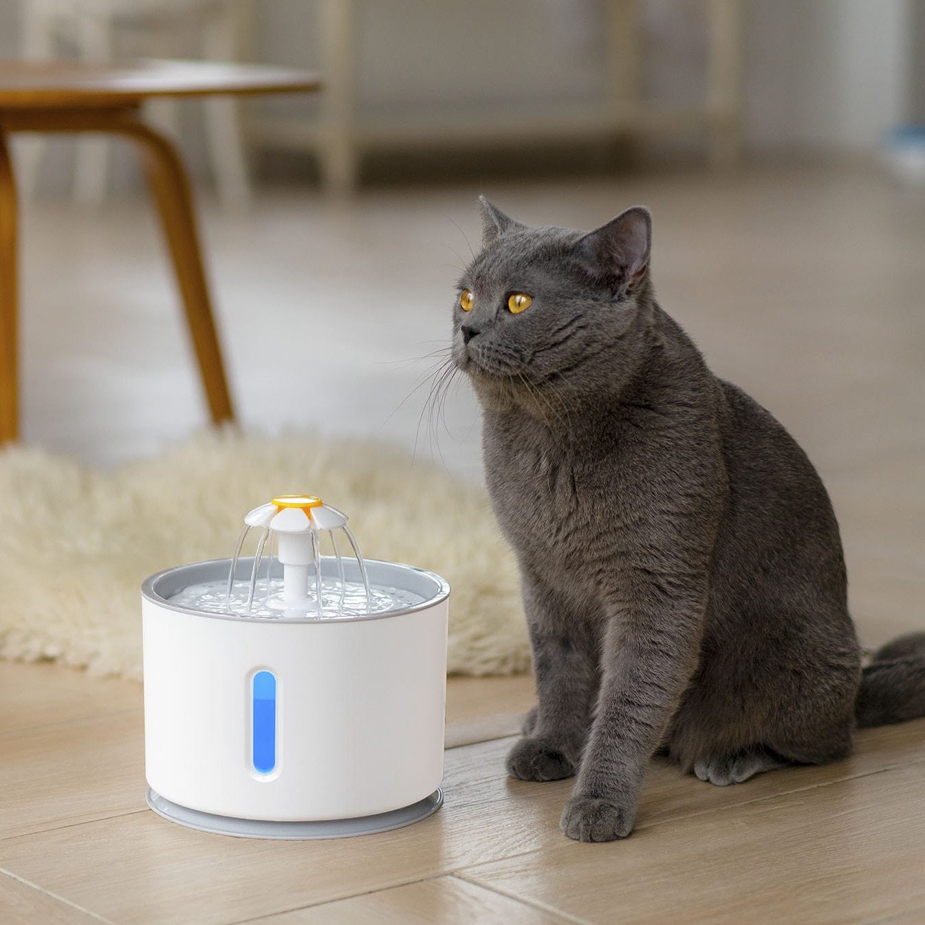 Automatische Huisdier Kat Fontein Met Led Verlichting 5 Pack Filters 2.4L Usb Honden Katten Mute Drinker Feeder Bowl Drinken dispenser Automatische Huisdier Kat Fontein Met Led Verlichting 5 Pack Filters 2.4L Usb Honden Katten Mute Drinker Feeder Bowl Drinken dispenser