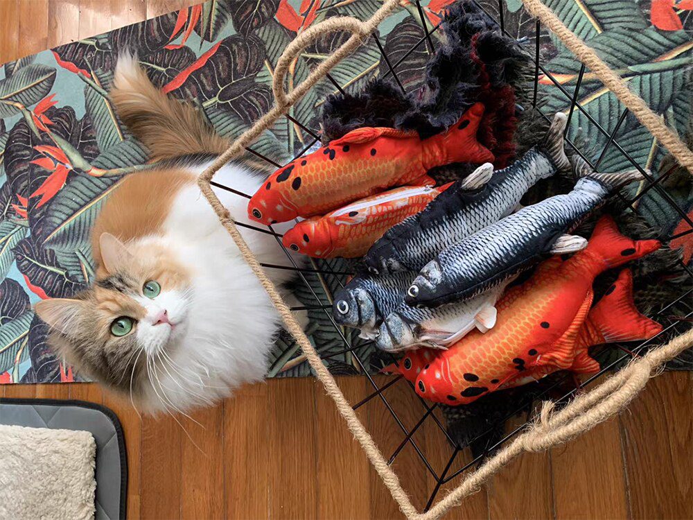 Kat Speelgoed Vis Usb Elektrische Opladen Simulatie Vis Kattenkruid Kat Huisdier Chew Bite Interactieve katten Speelgoed Dropshiping Floppy Kwispelende Vis Kat Speelgoed Vis Usb Elektrische Opladen Simulatie Vis Kattenkruid Kat Huisdier Chew Bite Interactieve katten Speelgoed Dropshiping Floppy Kwispelende Vis