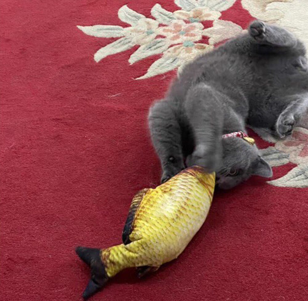 Kat Speelgoed Vis Usb Elektrische Opladen Simulatie Vis Kattenkruid Kat Huisdier Chew Bite Interactieve katten Speelgoed Dropshiping Floppy Kwispelende Vis