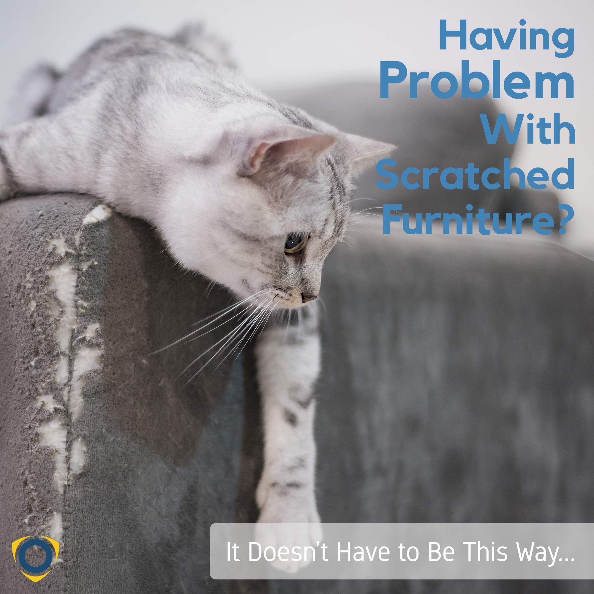 8Pcs Kat Scratcher Post Afschrikmiddel Dubbele Anti-Kras Tape Kat Couch Meubels Protector Kat Scratch Guards Sofa Bescherming