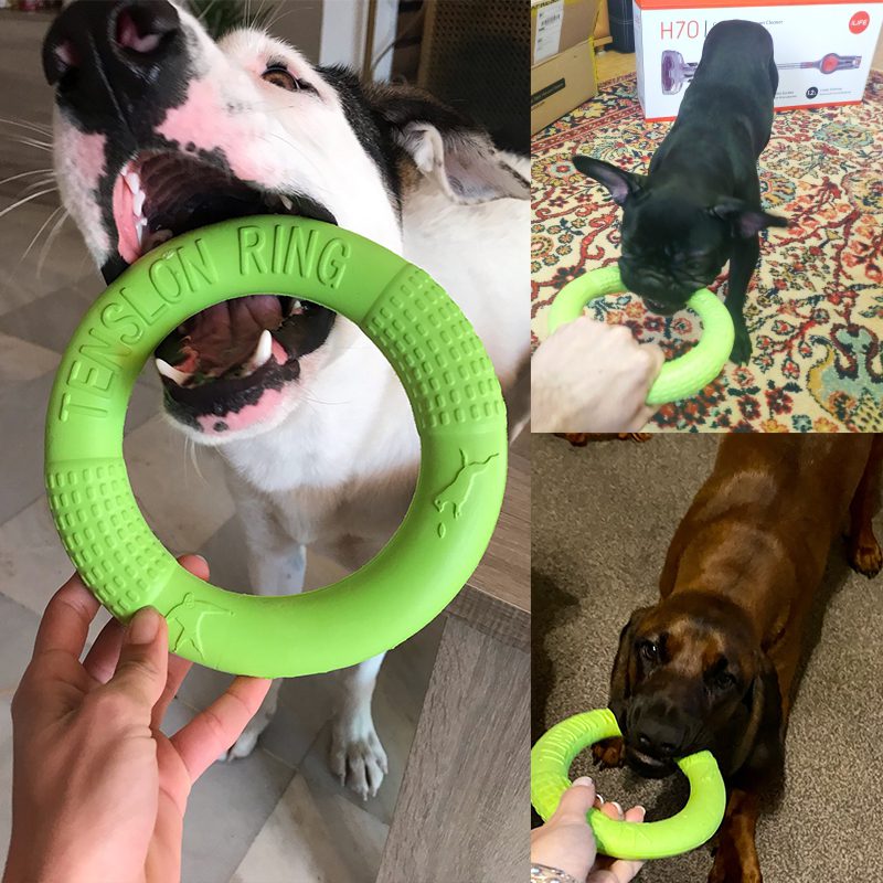 Hond Speelgoed Voor Grote Honden Eva Interactieve Training Ring Puller Slip Voor Honden Huisdier Vliegende Schijven Bite Ring Speelgoed Voor kleine Hond Hond Speelgoed Voor Grote Honden Eva Interactieve Training Ring Puller Slip Voor Honden Huisdier Vliegende Schijven Bite Ring Speelgoed Voor kleine Hond