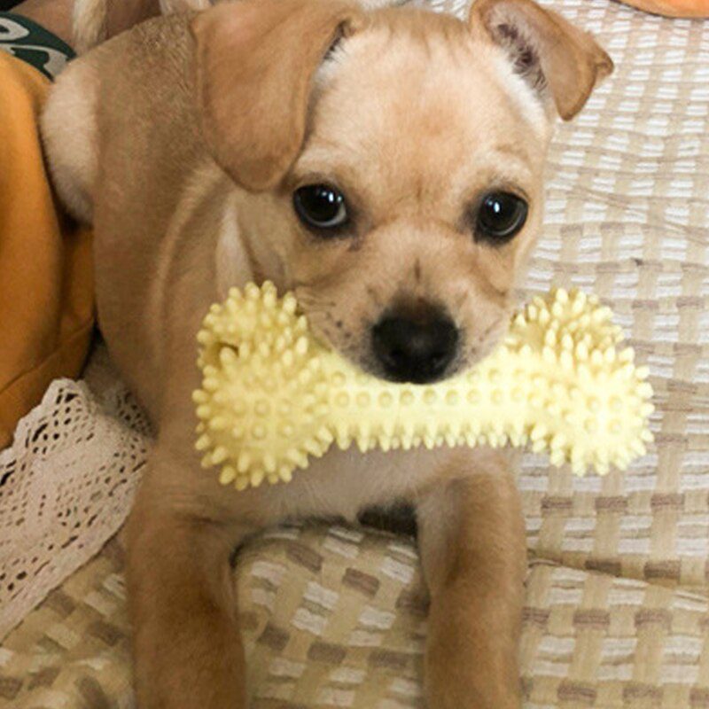 Hond Speelgoed Voor Kleine Hond Kauwt Tpr Knoop Speelgoed Bite Resistant Molaren Schoonmaken Hond Training Levert Interactieve Accessoires