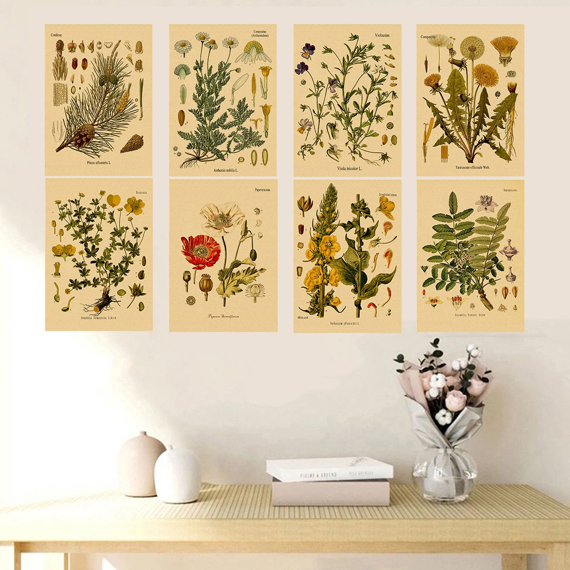 Plant Flower Study Retro Poster Botanical Prints Posters Kraft Paper Vintage Home Living Room Decor Aesthetic Art Wall Painting