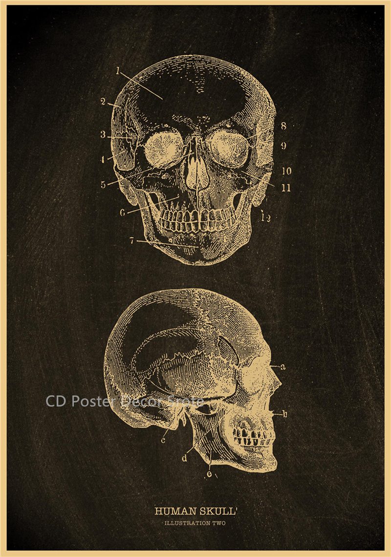 Anatomical Skeleton Chalkboard Poster Kraft Paper Posters DIY Vintage Home Room Medicine Student Decor Medical Art Wall Painting