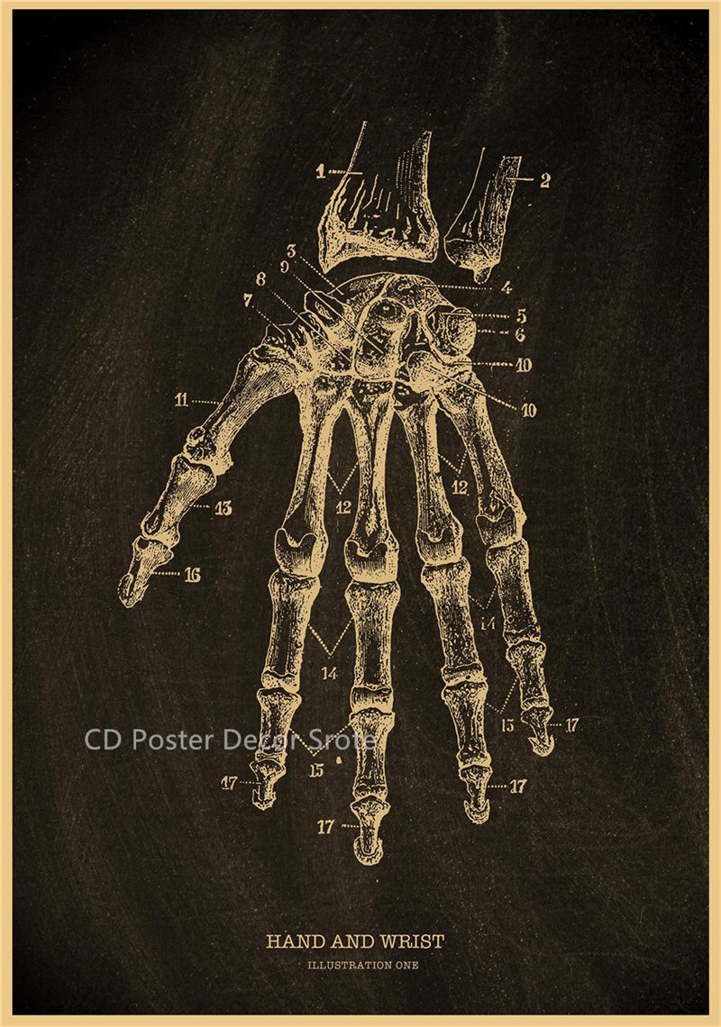 Anatomical Skeleton Chalkboard Poster Kraft Paper Posters DIY Vintage Home Room Medicine Student Decor Medical Art Wall Painting