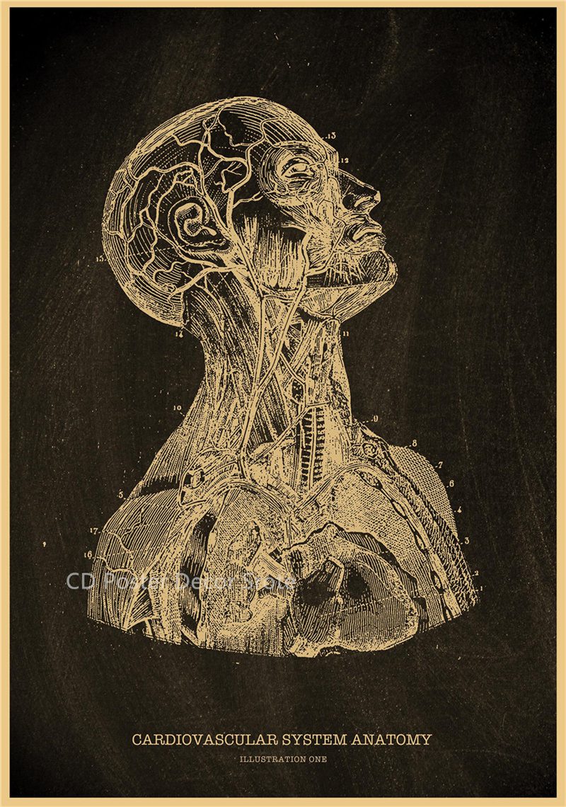 Anatomical Skeleton Chalkboard Poster Kraft Paper Posters DIY Vintage Home Room Medicine Student Decor Medical Art Wall Painting