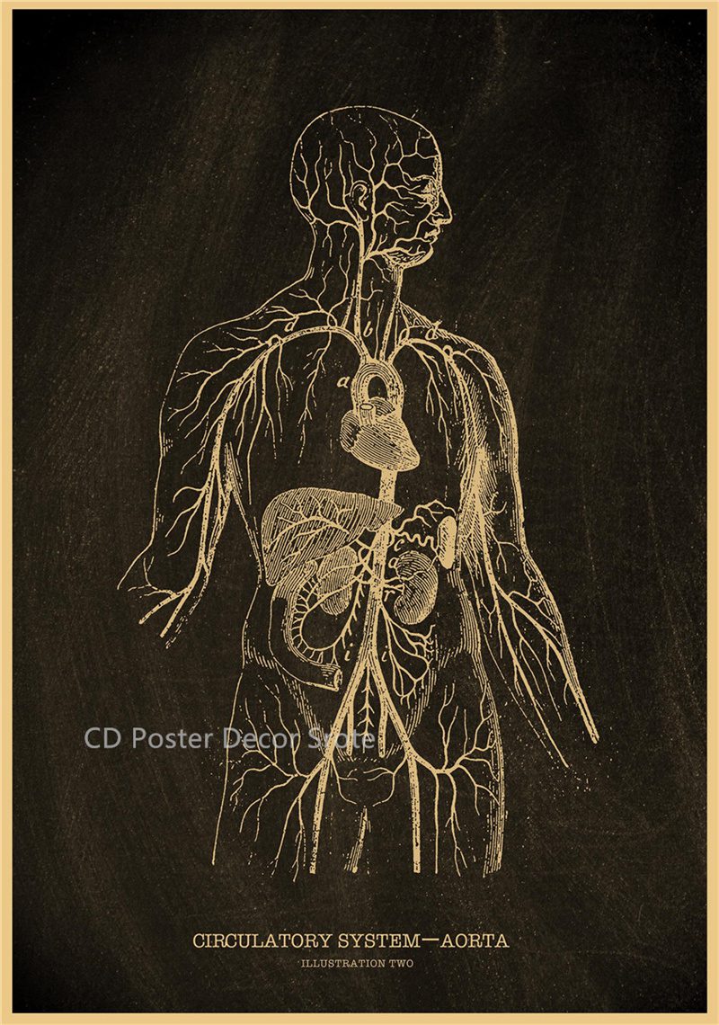 Anatomical Skeleton Chalkboard Poster Kraft Paper Posters DIY Vintage Home Room Medicine Student Decor Medical Art Wall Painting