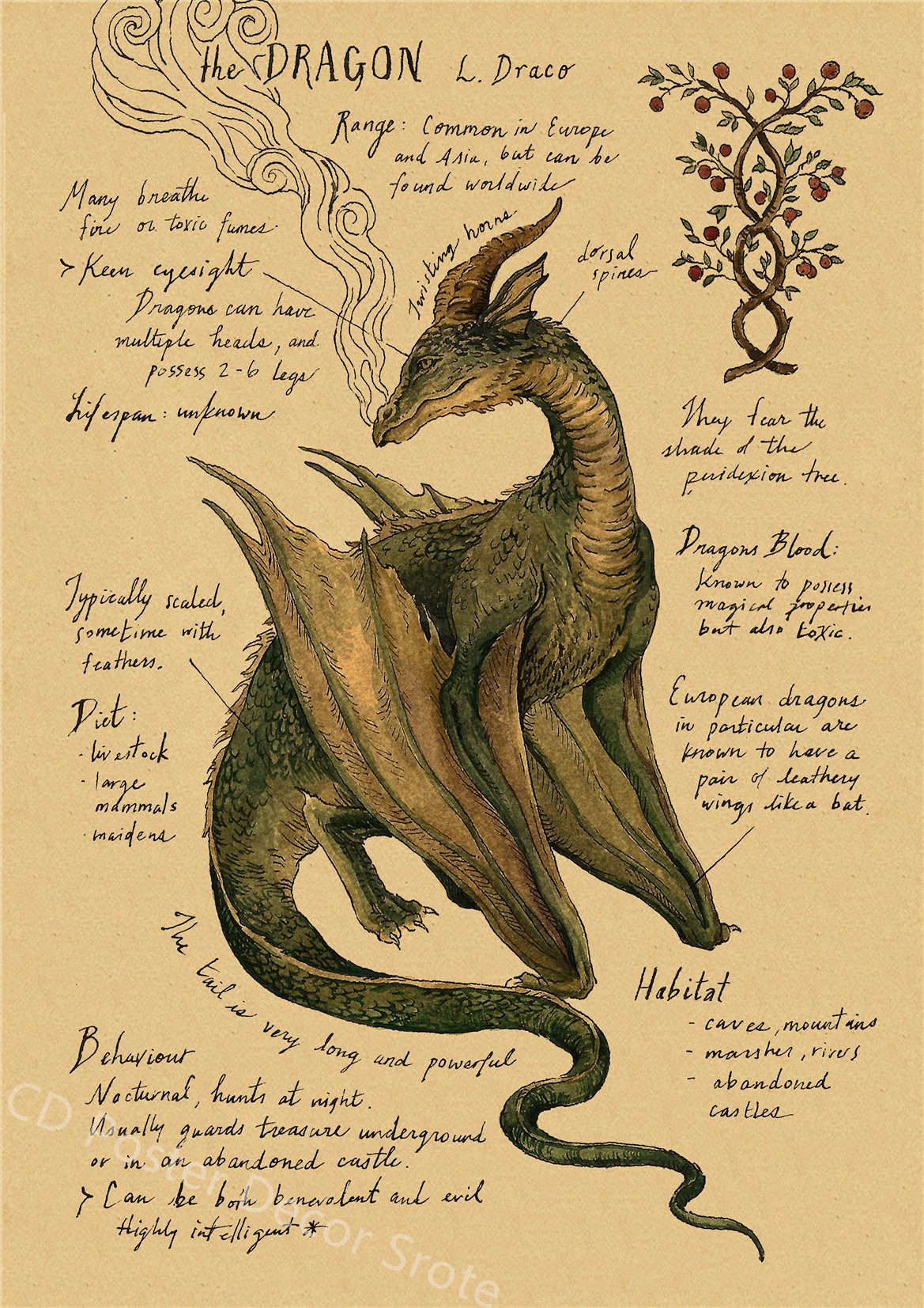 Natural Study Dragon/Tropical Basilisk/Phoenix/Fox/Dog/Wolf/Whale Print Poster Kraft Paper Vintage Home Room Decor Wall Painting Natural Study Dragon/Tropical Basilisk/Phoenix/Fox/Dog/Wolf/Whale Print Poster Kraft Paper Vintage Home Room Decor Wall Painting