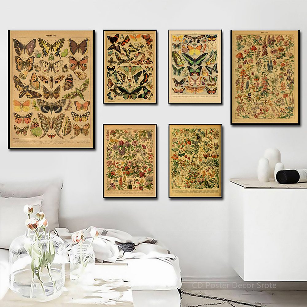 Butterfly Insect Flower Mushroom Poster Botanical Educational Kraft Paper DIY Vintage Home Room Bar Cafe Decor Art Wall Painting Butterfly Insect Flower Mushroom Poster Botanical Educational Kraft Paper DIY Vintage Home Room Bar Cafe Decor Art Wall Painting