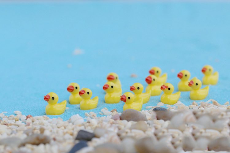 5 Pcs Cute Yellow Duck Miniature Figurine Ornaments Micro Landscape Decoration Accessories Simulated Animal Resin Charms Crafts 5 Pcs Cute Yellow Duck Miniature Figurine Ornaments Micro Landscape Decoration Accessories Simulated Animal Resin Charms Crafts