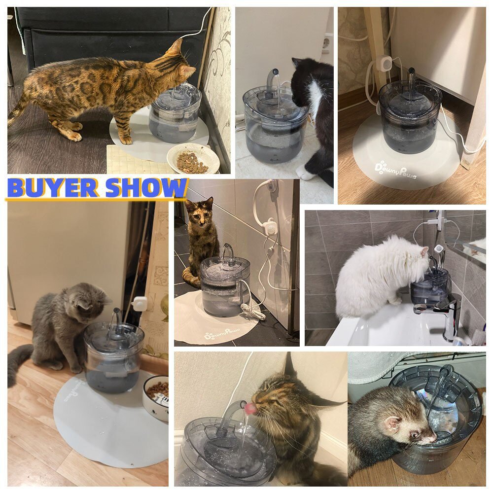 cat faucet fountain
