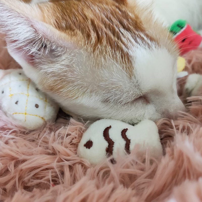 [MPK Catnip Toy] Buy Any 3 Pieces to Get 30% Off! New 2020 Cat Face Design Cat Toy, Catnip Cookie Small Catmint Pillow