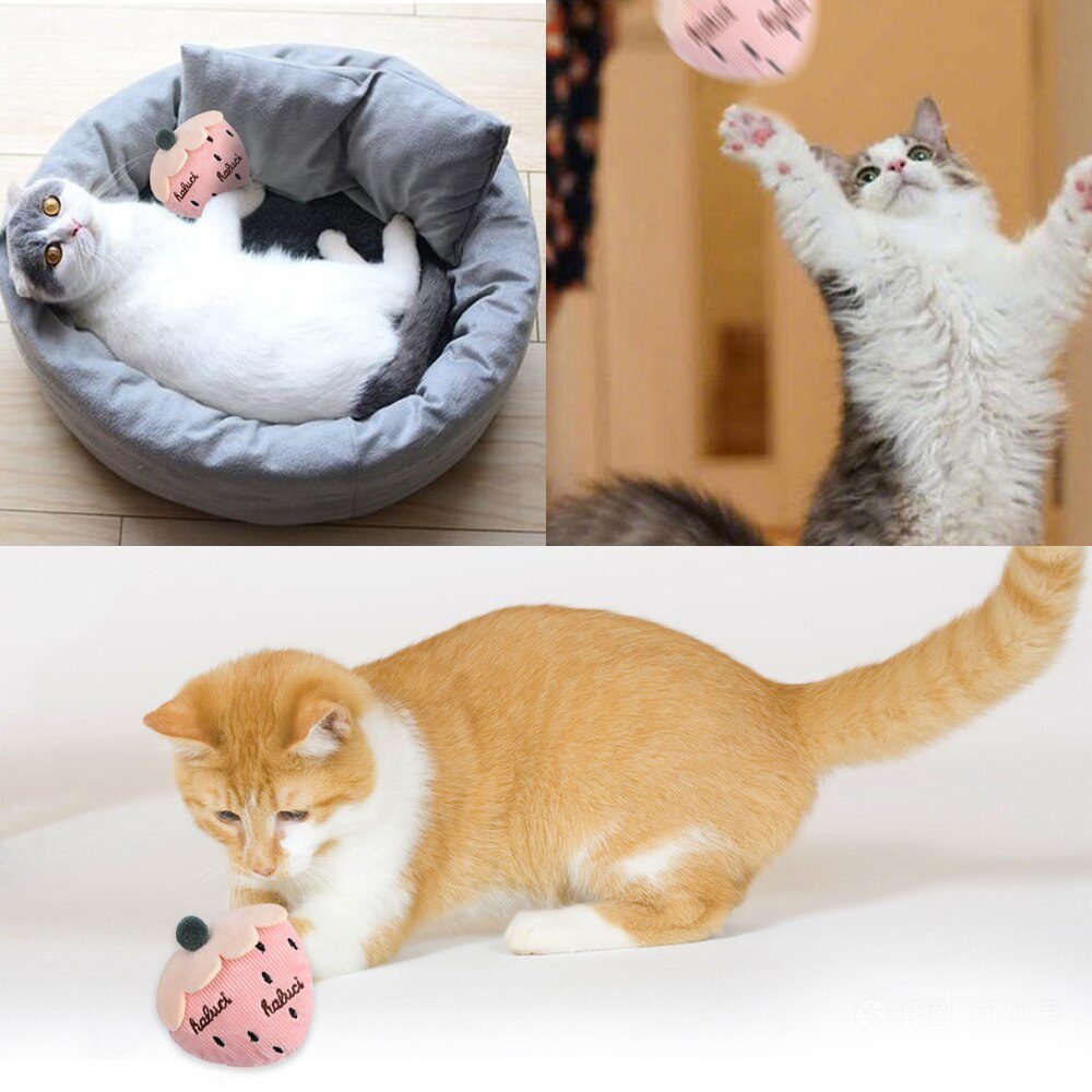 Cat Toy Catnip Interactive Plush Stuffed Chew Pet Toys Claw Funny Cat Mint Soft Teeth Cleaning Toy For Cat Kitten Pet Products