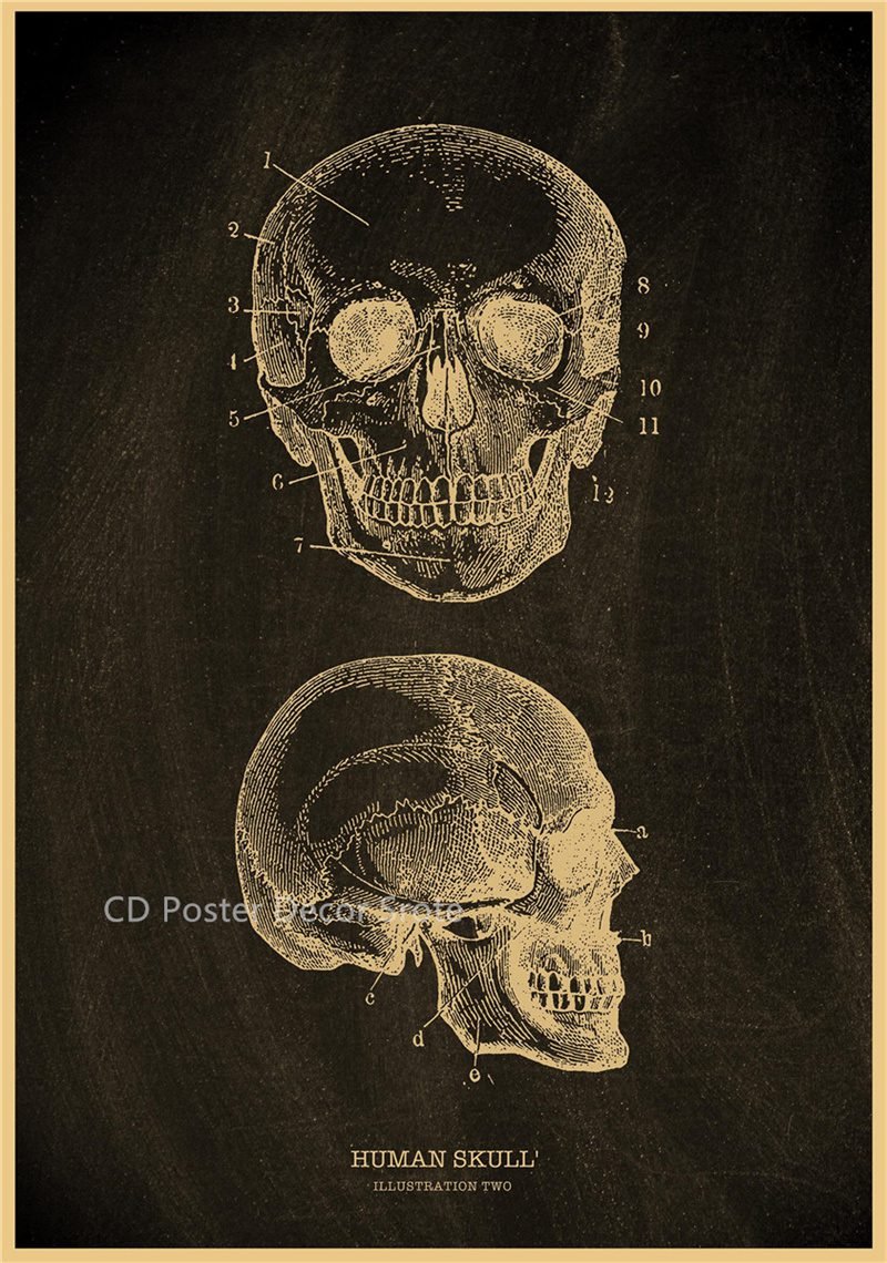 Anatomical Skeleton Chalkboard Poster Kraft Paper Posters DIY Vintage Home Room Medicine Student Decor Medical Art Wall Painting