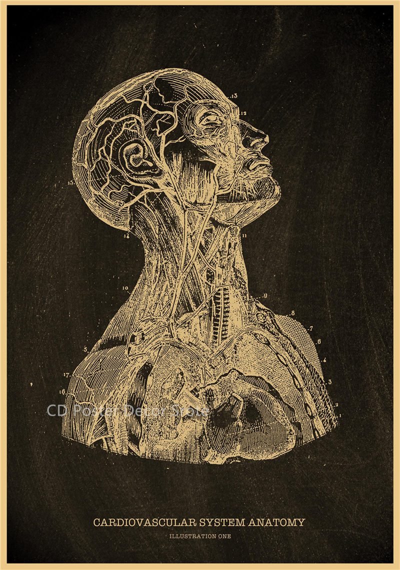 Anatomical Skeleton Chalkboard Poster Kraft Paper Posters DIY Vintage Home Room Medicine Student Decor Medical Art Wall Painting