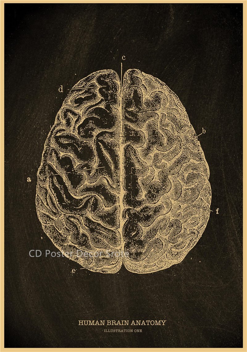 Anatomical Skeleton Chalkboard Poster Kraft Paper Posters DIY Vintage Home Room Medicine Student Decor Medical Art Wall Painting