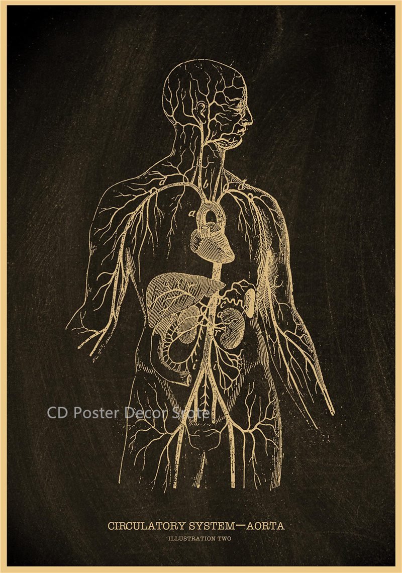 Anatomical Skeleton Chalkboard Poster Kraft Paper Posters DIY Vintage Home Room Medicine Student Decor Medical Art Wall Painting