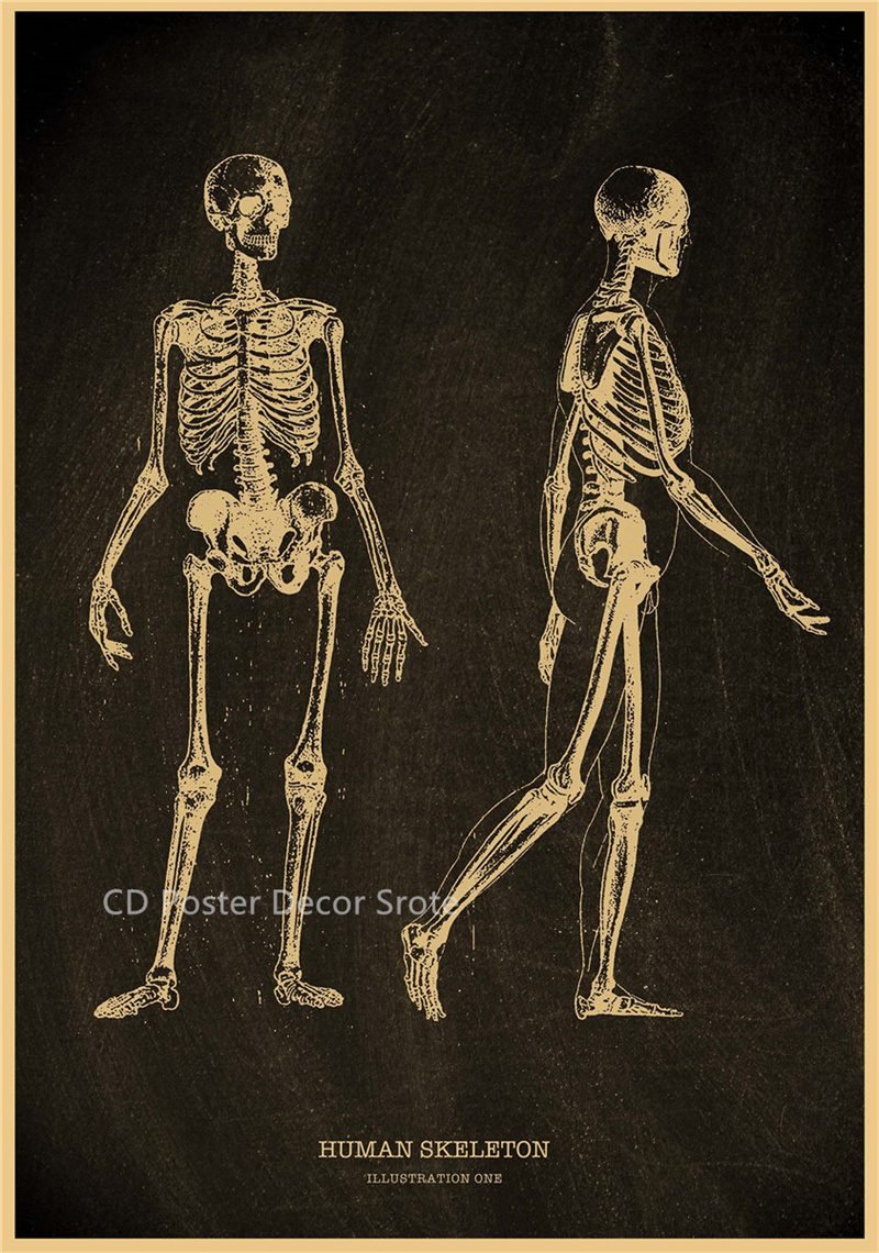 Anatomical Skeleton Chalkboard Poster Kraft Paper Posters DIY Vintage Home Room Medicine Student Decor Medical Art Wall Painting