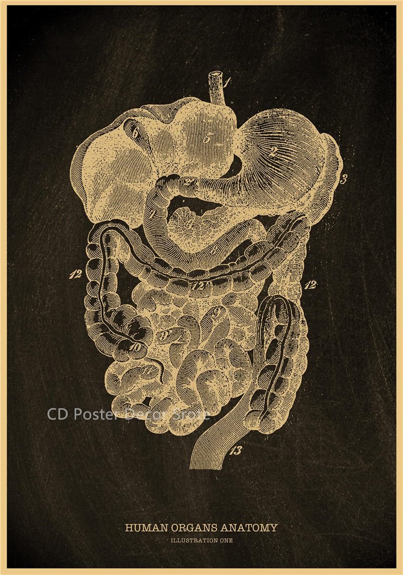 Anatomical Skeleton Chalkboard Poster Kraft Paper Posters DIY Vintage Home Room Medicine Student Decor Medical Art Wall Painting