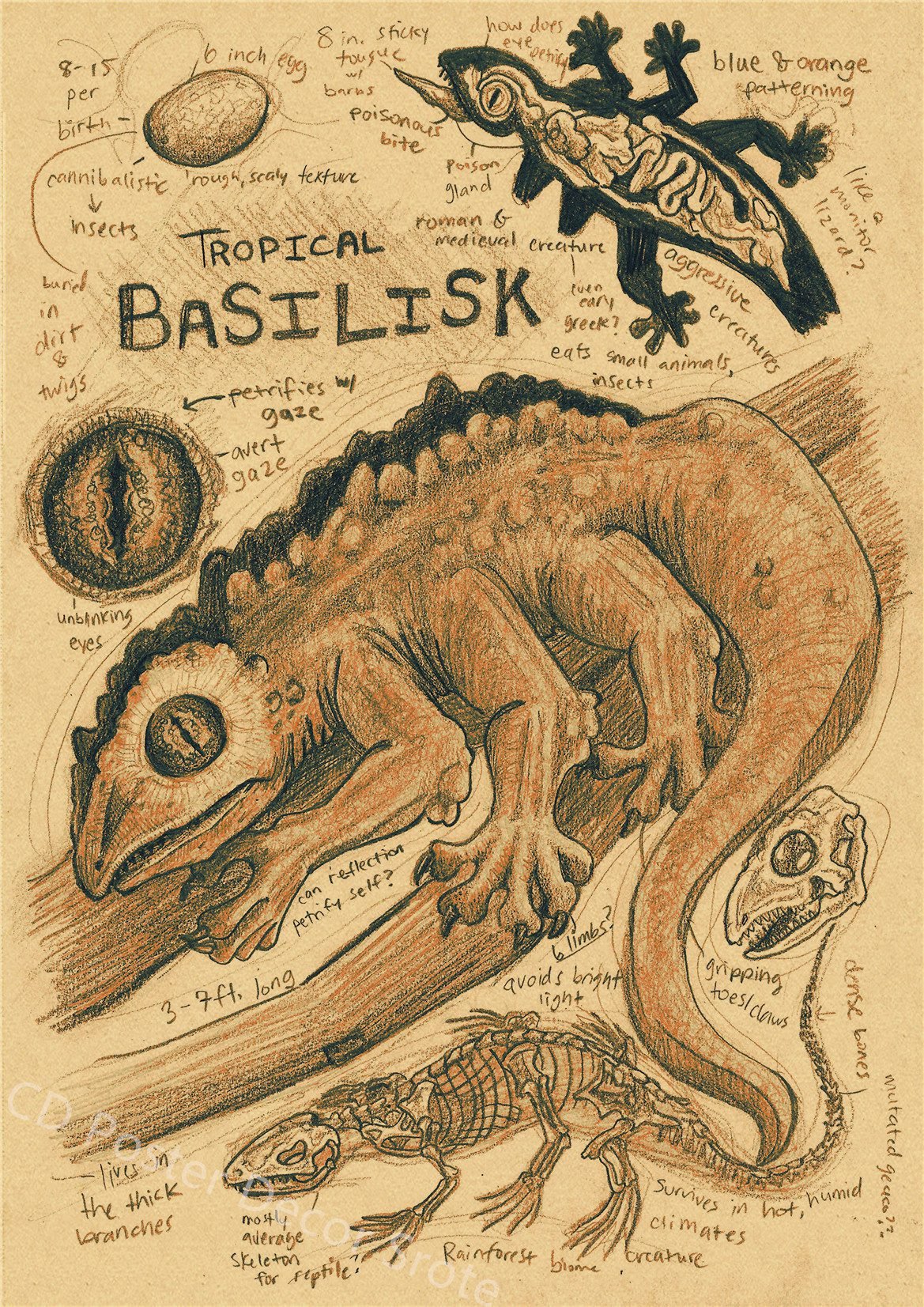 Natural Study Dragon/Tropical Basilisk/Phoenix/Fox/Dog/Wolf/Whale Print Poster Kraft Paper Vintage Home Room Decor Wall Painting Natural Study Dragon/Tropical Basilisk/Phoenix/Fox/Dog/Wolf/Whale Print Poster Kraft Paper Vintage Home Room Decor Wall Painting