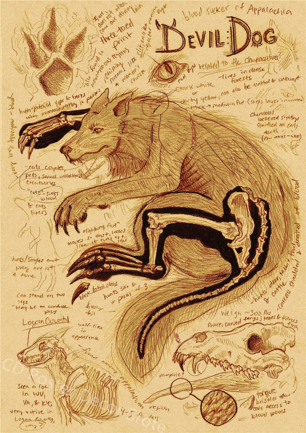 Natural Study Dragon/Tropical Basilisk/Phoenix/Fox/Dog/Wolf/Whale Print Poster Kraft Paper Vintage Home Room Decor Wall Painting Natural Study Dragon/Tropical Basilisk/Phoenix/Fox/Dog/Wolf/Whale Print Poster Kraft Paper Vintage Home Room Decor Wall Painting