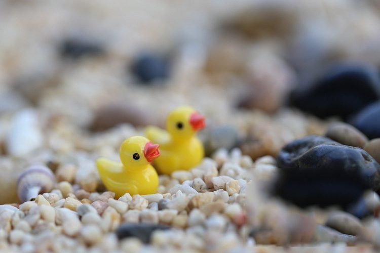 5 Pcs Cute Yellow Duck Miniature Figurine Ornaments Micro Landscape Decoration Accessories Simulated Animal Resin Charms Crafts